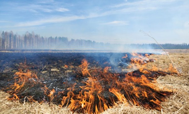 Greenhouse Gas Emission Reduction Strategies in Iran's Agricultural Sector