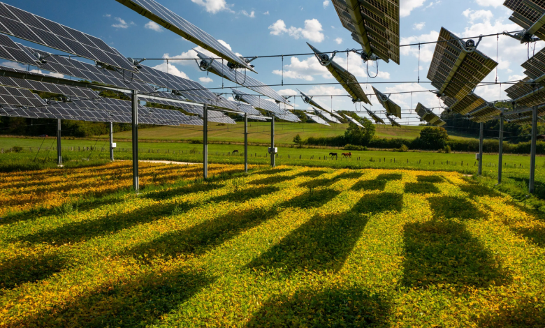 Simultaneous Crop and Solar Power Production