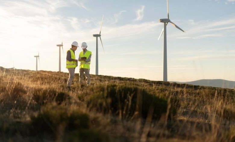 Specialized person in energy sector