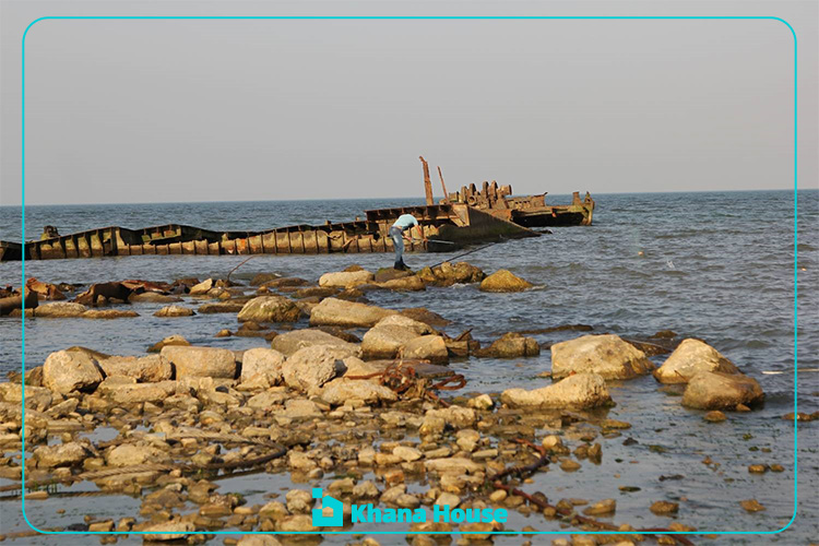 Environmental Impacts of the Declining Water Level of the Caspian Sea